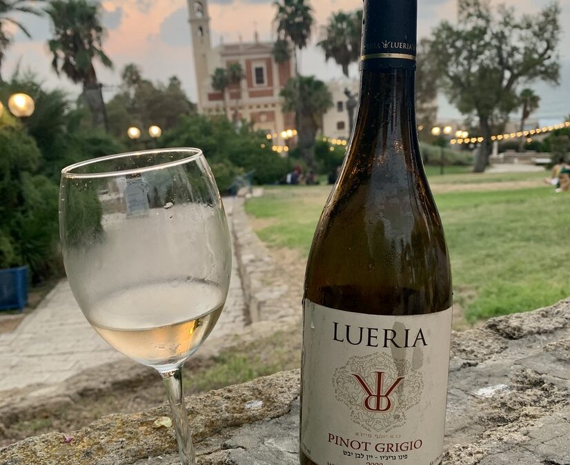 Wine Tour in Carmel, Israel: Where Every Glass Tells a Story