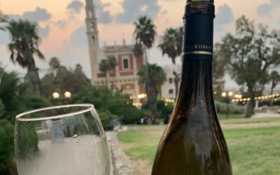 Wine Tour in Carmel, Israel: Where Every Glass Tells a Story