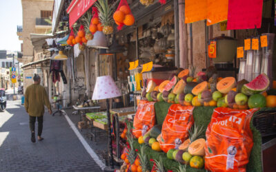 A Perfect Day on a Carmel Wine Tour: Vineyards, Views & Mediterranean Magic