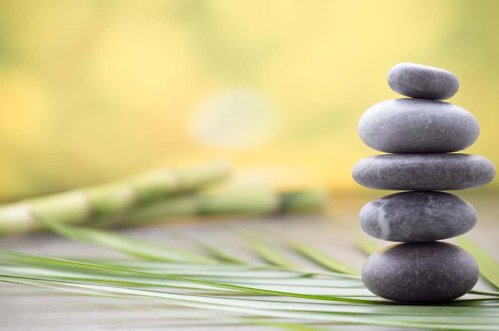 wellness