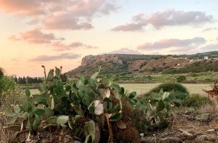tours pics Binyamina