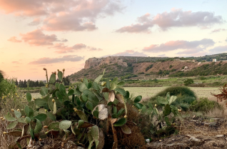 Binyamina